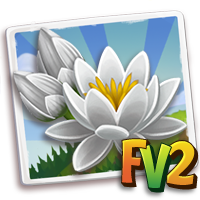 Water Waterlily White, , Janet just harvested a 29 lbs Wet White Lily!, Janet just harvested a prize Wet White Lily. She wants to celebrate with some free fertilizer. Click to get some!